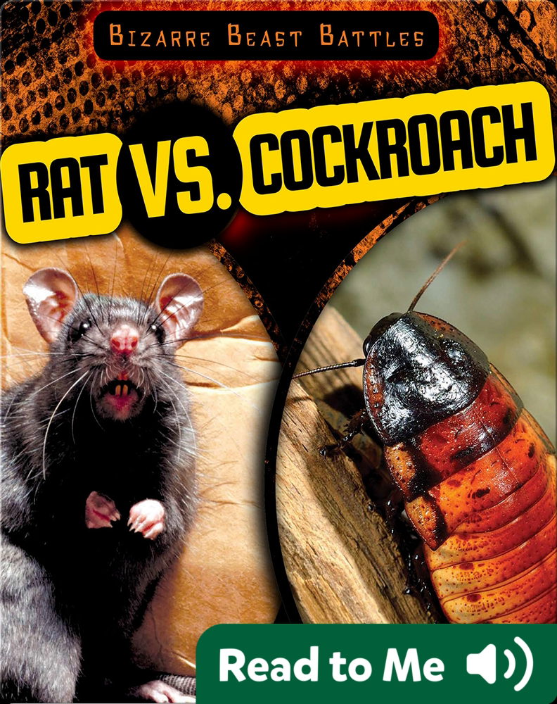 Rat vs. Cockroach Book by Charlotte Herriott Epic