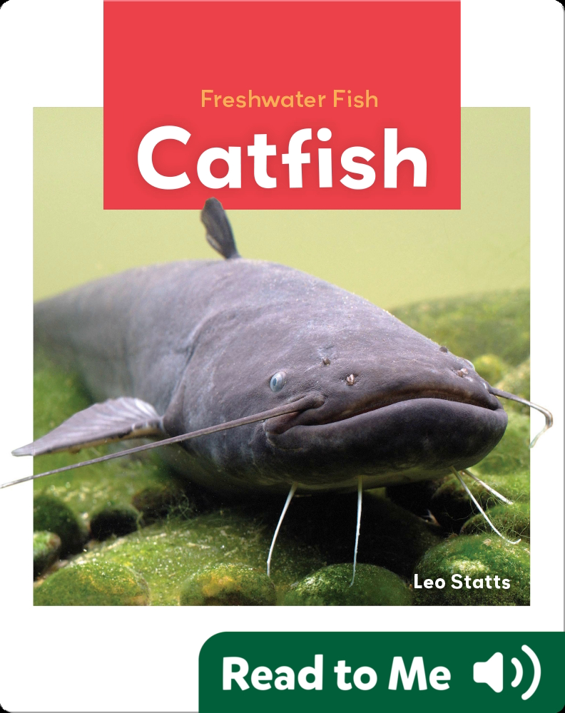 Freshwater Fish: Catfish Book by Leo Statts