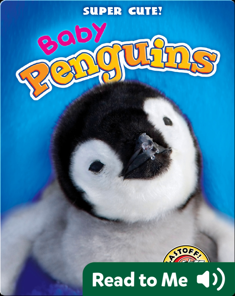 Super Cute! Baby Penguins Book by Kari Schuetz