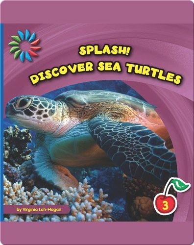 Discover Sea Turtles