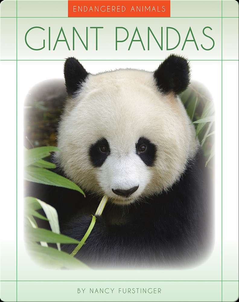 Giant Pandas Book by Nancy Furstinger | Epic