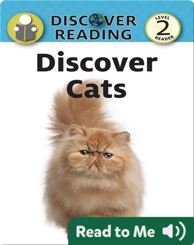 Discover Cats