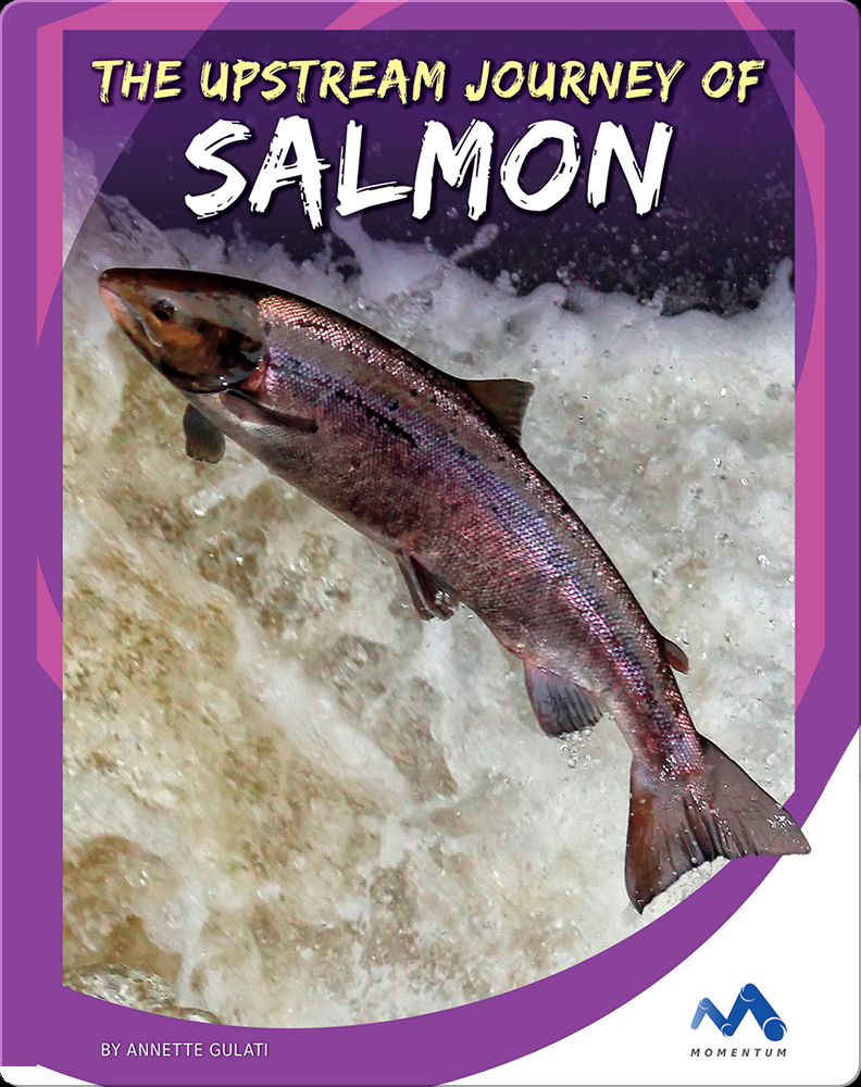 The Upstream Journey of Salmon Book by Annette Gulati