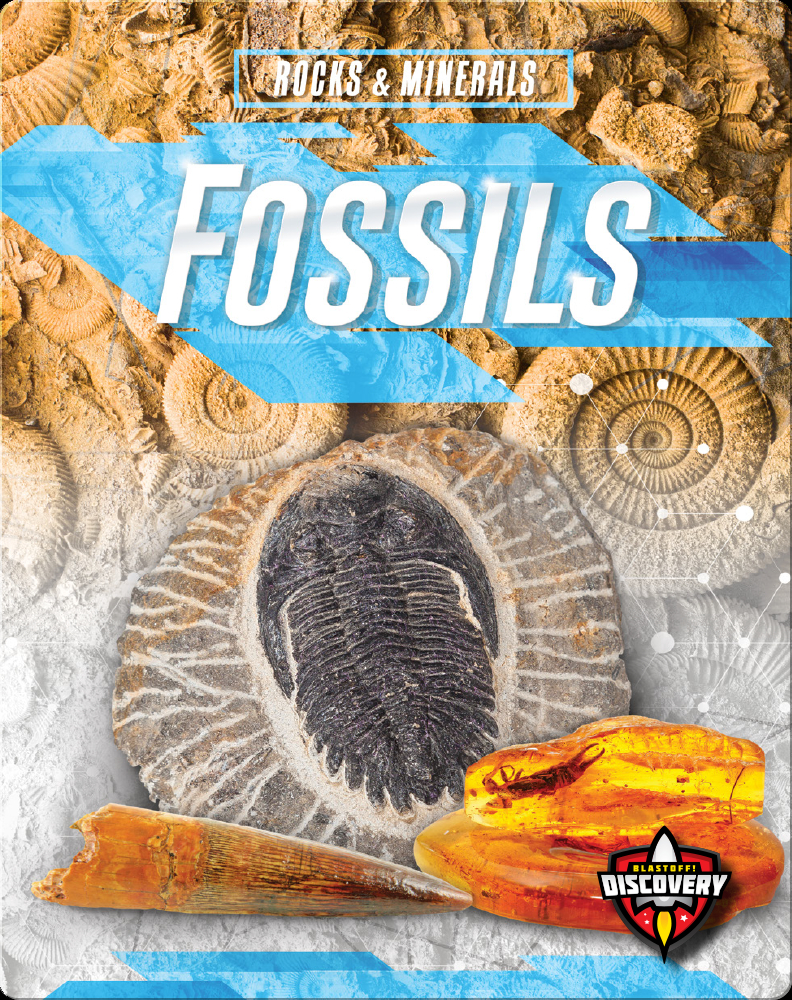 Fossils Book by Patrick Perish | Epic