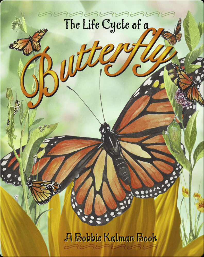 The Life Cycle of a Butterfly Book by Bobbie Kalman | Epic