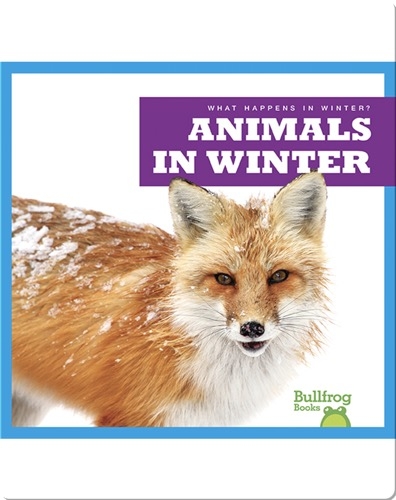 What Happens In Winter? Animals In Winter