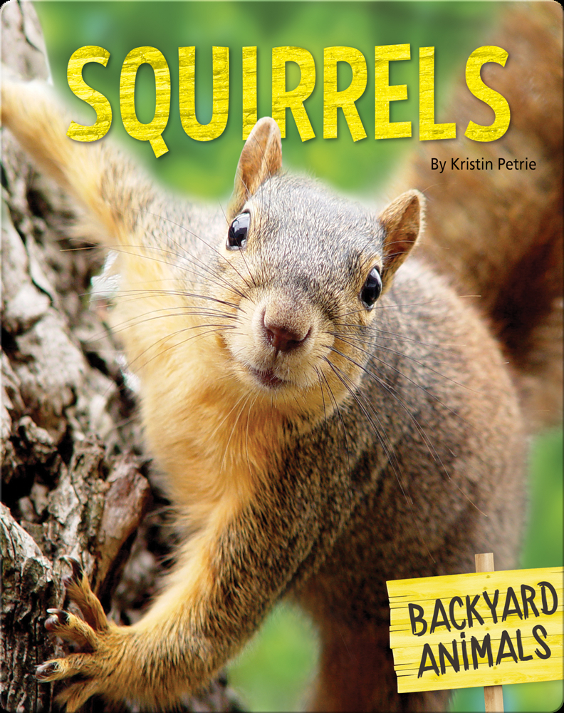 Squirrels Book by Kristin Petrie | Epic