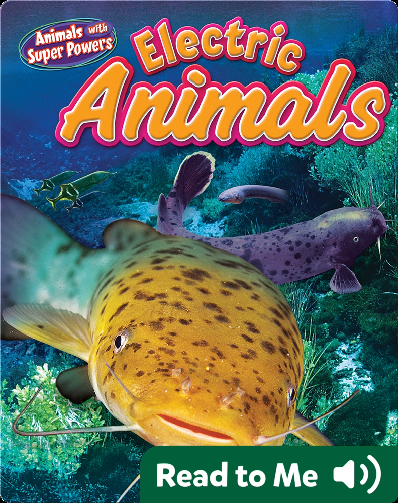 Electric Animals Book by Natalie Lunis Epic