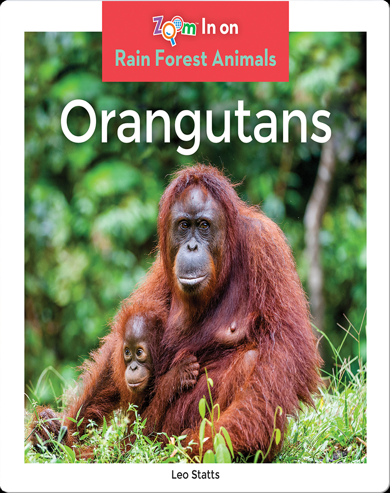 Orangutans Book by Leo Statts | Epic