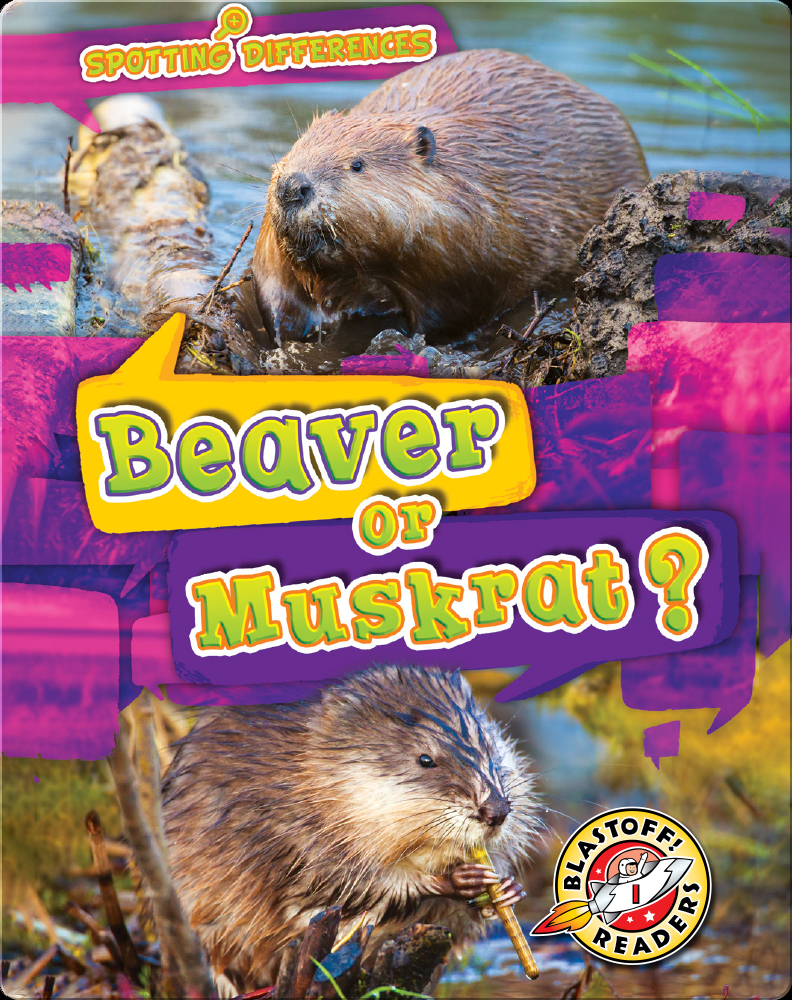 Spotting Differences: Beaver or Muskrat? Book by Kirsten Chang | Epic