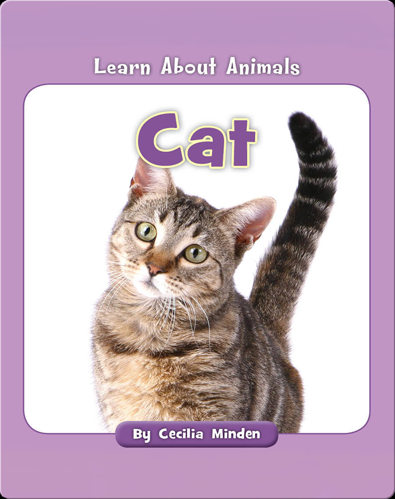 Cats! Learning about Cats for Kids 