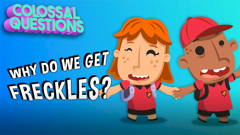 Colossal Questions: Why Do We Get Freckles? Video | Discover Fun and ...
