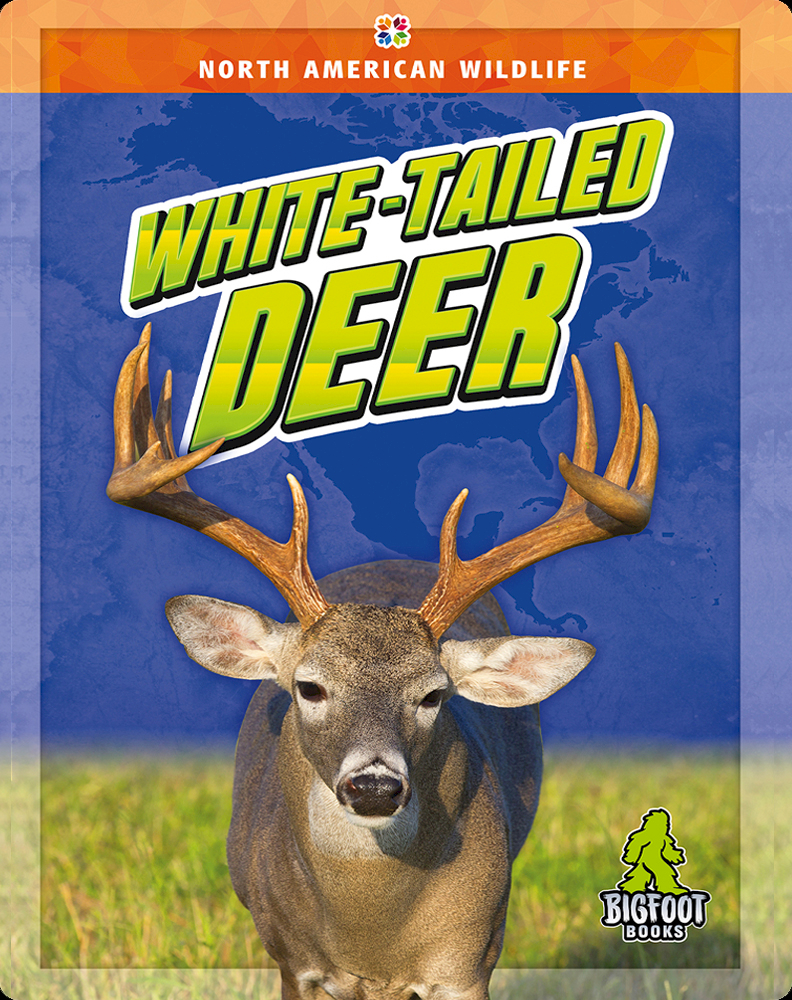 White-Tailed Deer Book by Joanne Mattern | Epic