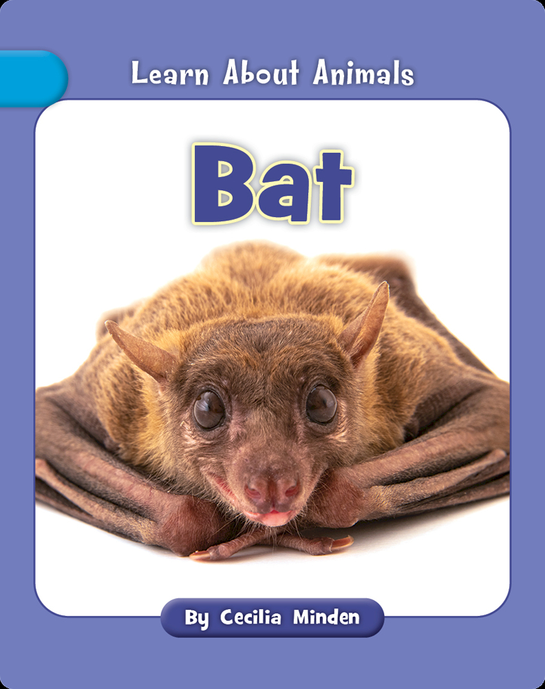 Bat Book by Cecilia Minden | Epic