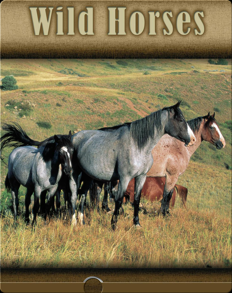 Wild Horses Book by Lynn Stone Epic