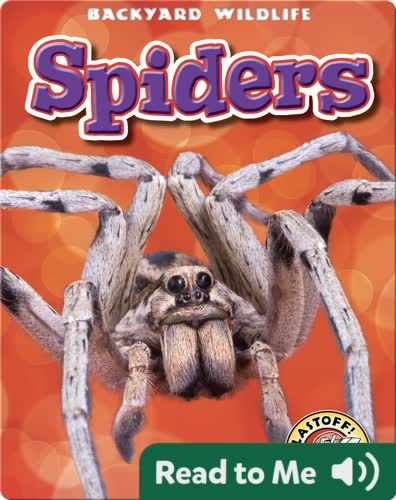 Spiders: Backyard Wildlife