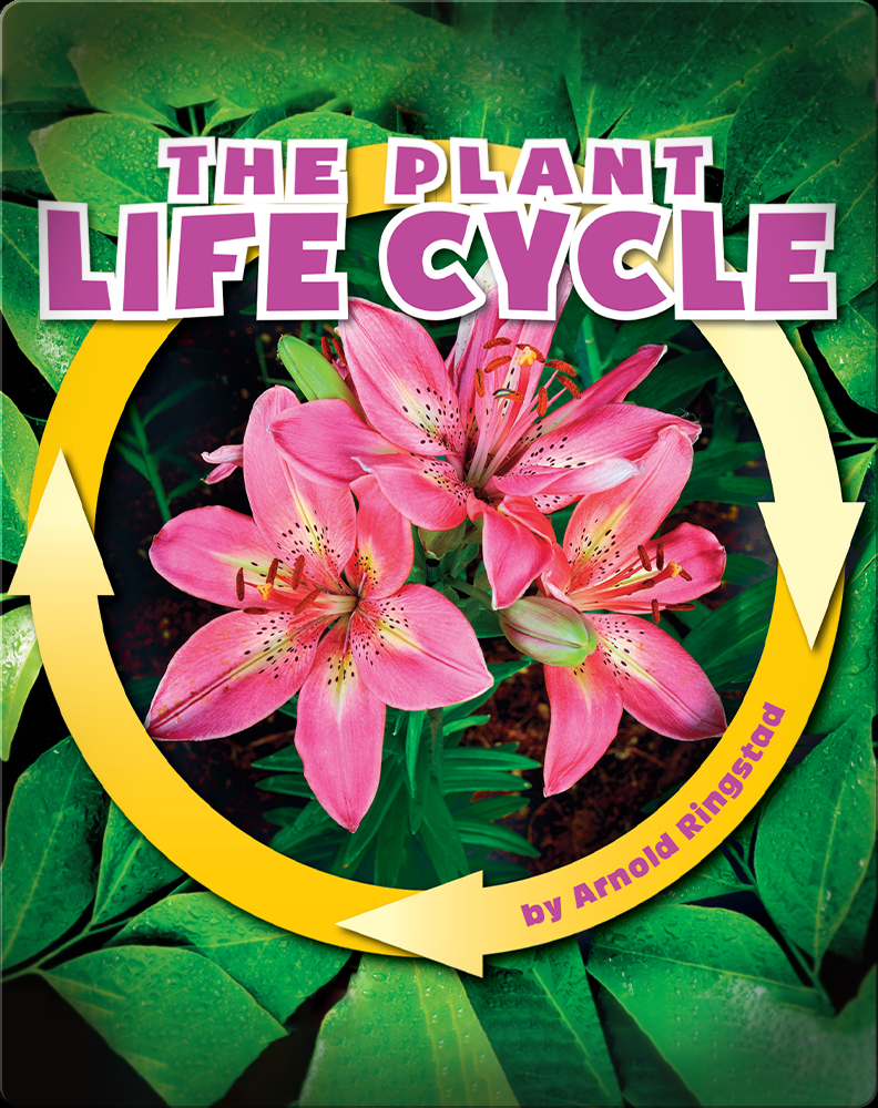 the-plant-life-cycle-book-by-arnold-ringstad-epic