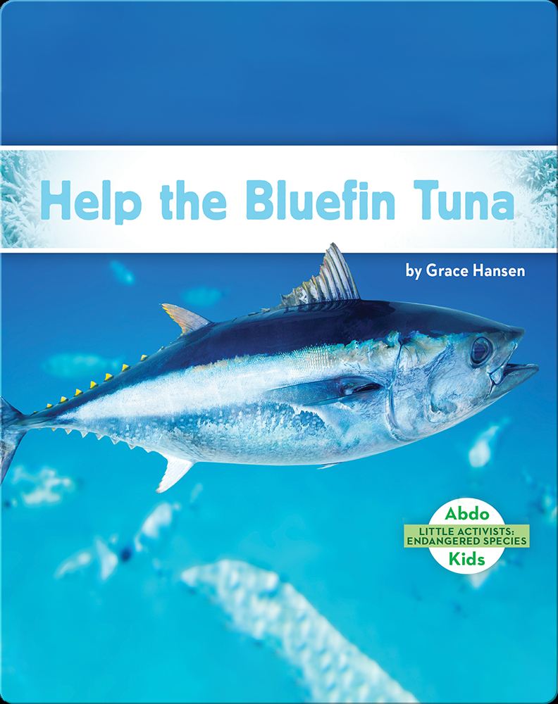 Scientists Are Taming Endangered Atlantic Bluefin Tuna for Our Sushi