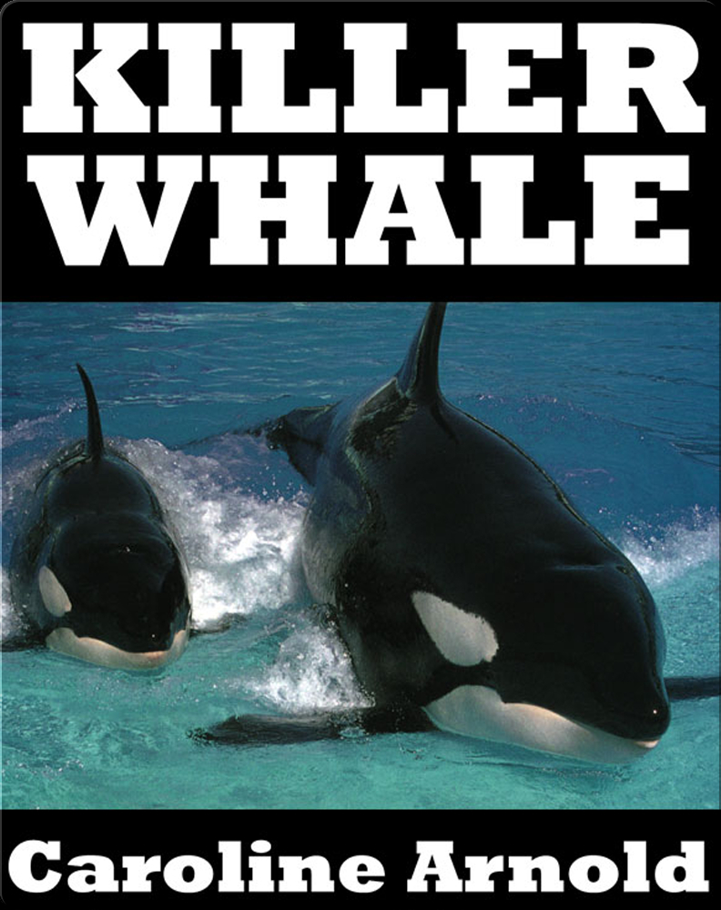 Killer Whale Book by Caroline Arnold | Epic