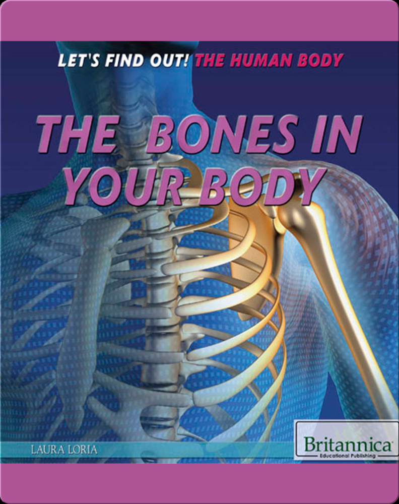 Brains, Body, Bones!: Understanding Our Skeleton (Hardcover) 