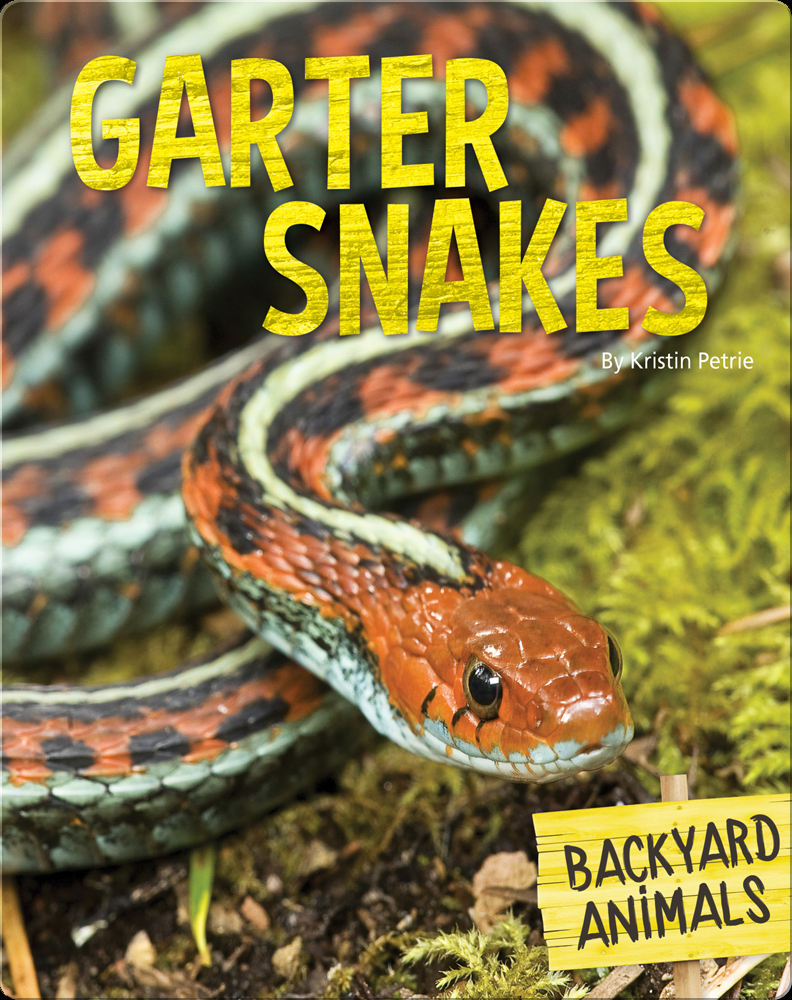 Garter Snakes Book by Kristin Petrie Epic