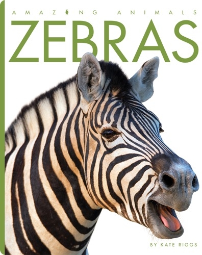Zebra Children's Book Collection  Discover Epic Children's Books