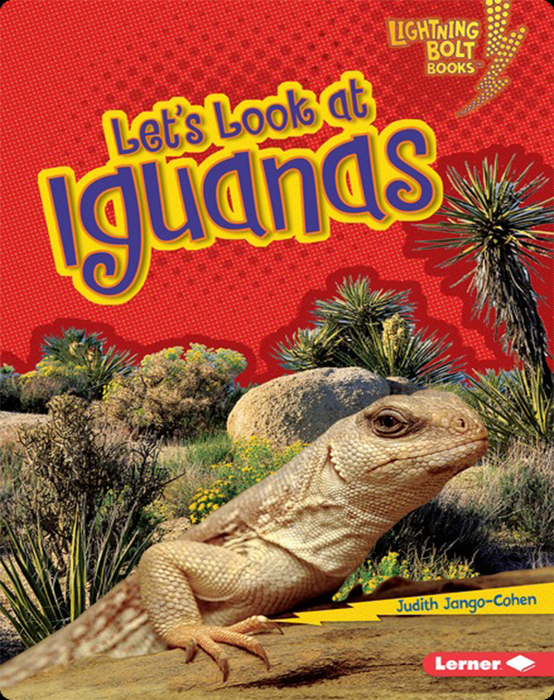 Let's Look At Iguanas Book By Judith Jango-cohen 