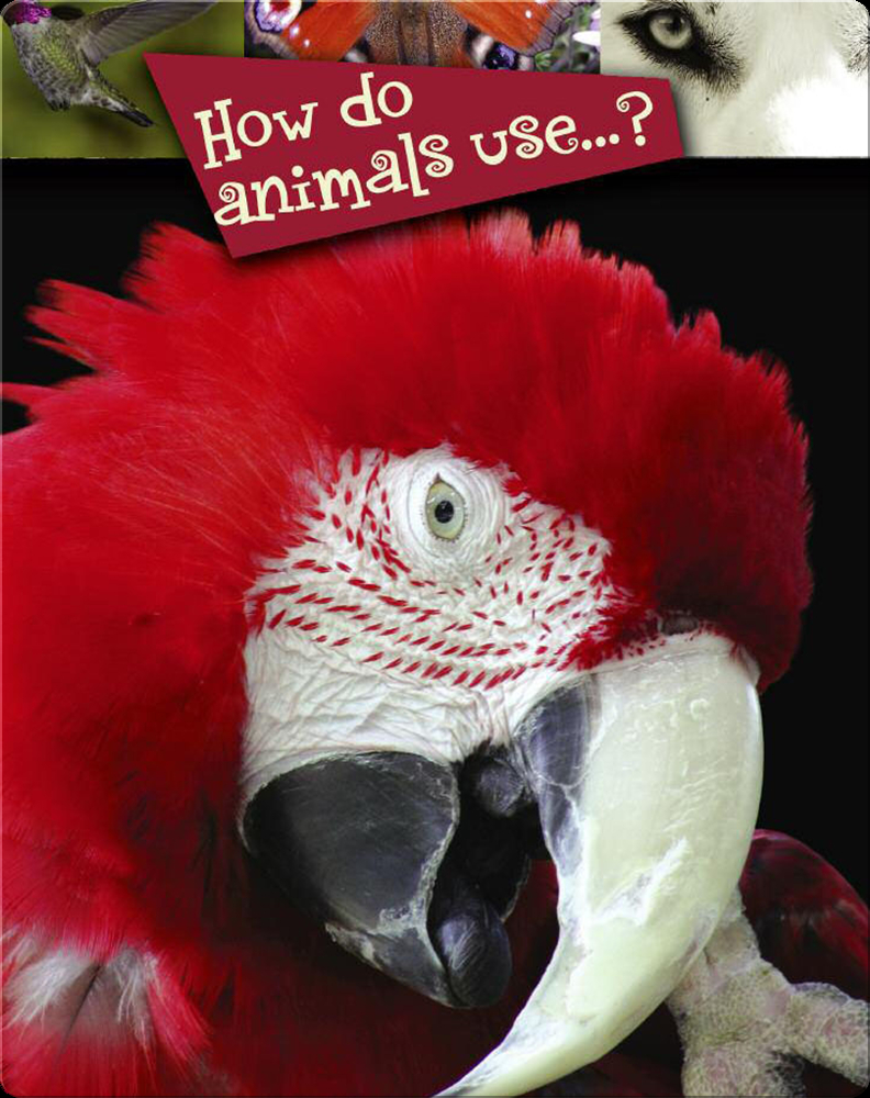 How Do Animals Use…? Book by Luana Mitten | Epic