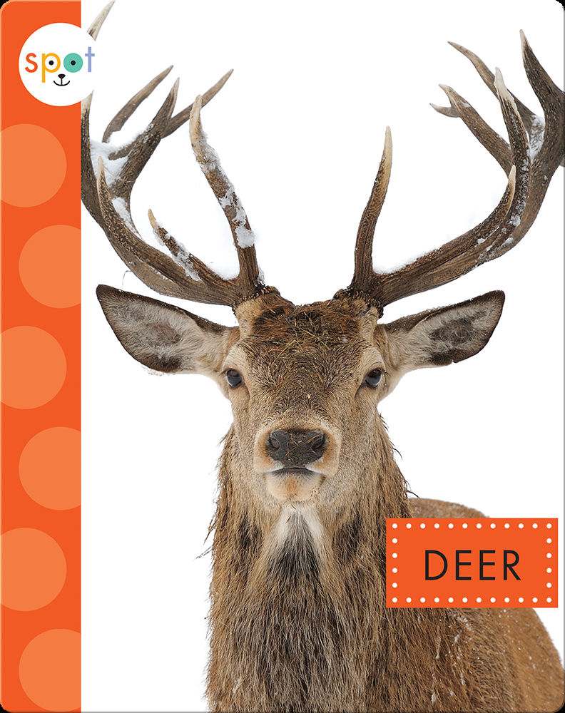 Backyard Animals: Deer Book by Mari Schuh | Epic