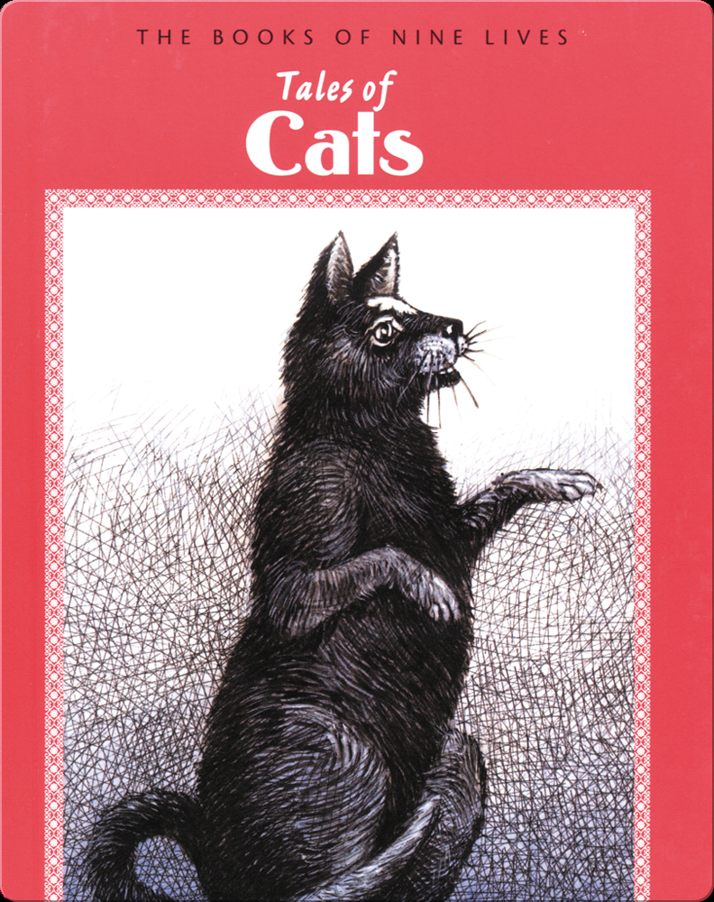 CAT BOOKS - CAT POEMS, CAT CARTOONS, CHRISTMAS CATS , CAT TALES, ETC - 11  BOOKS