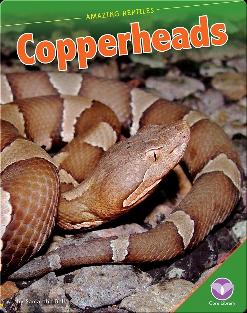 Amazing Reptiles Copperheads Book by Samantha Bell Epic