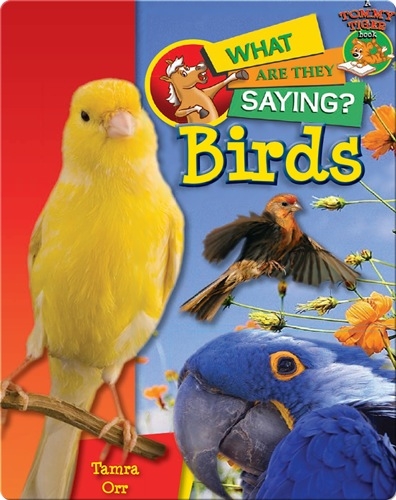 Birds: What Are They Saying?