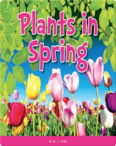 Plants in Spring