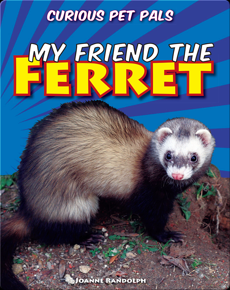 Superpowered Ferret Fighters — I made a mockup cover for a story I