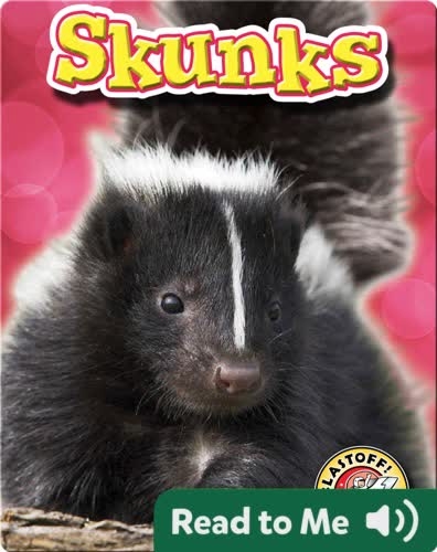 Skunks: Backyard Wildlife