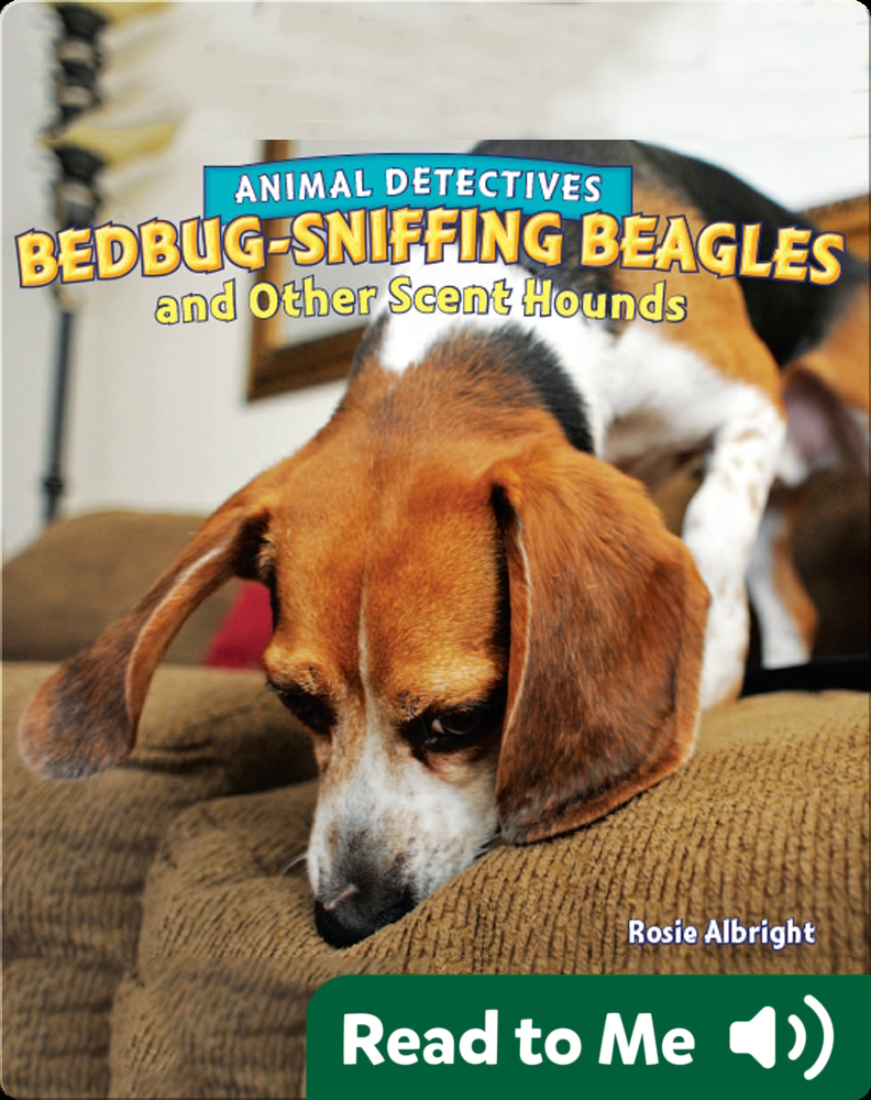 BedbugSniffing Beagles and Other Scent Hounds Book by Rosie Albright
