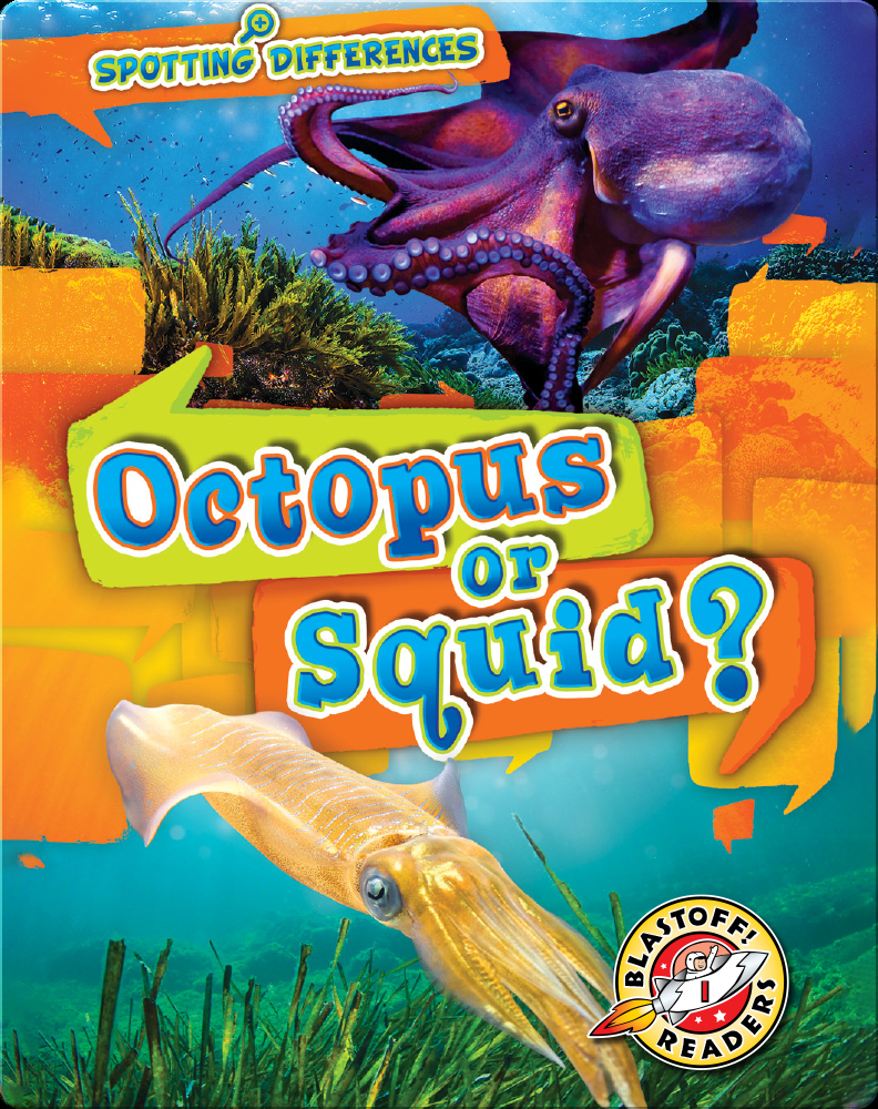 Spotting Differences: Octopus or Squid? Book by Christina Leaf | Epic