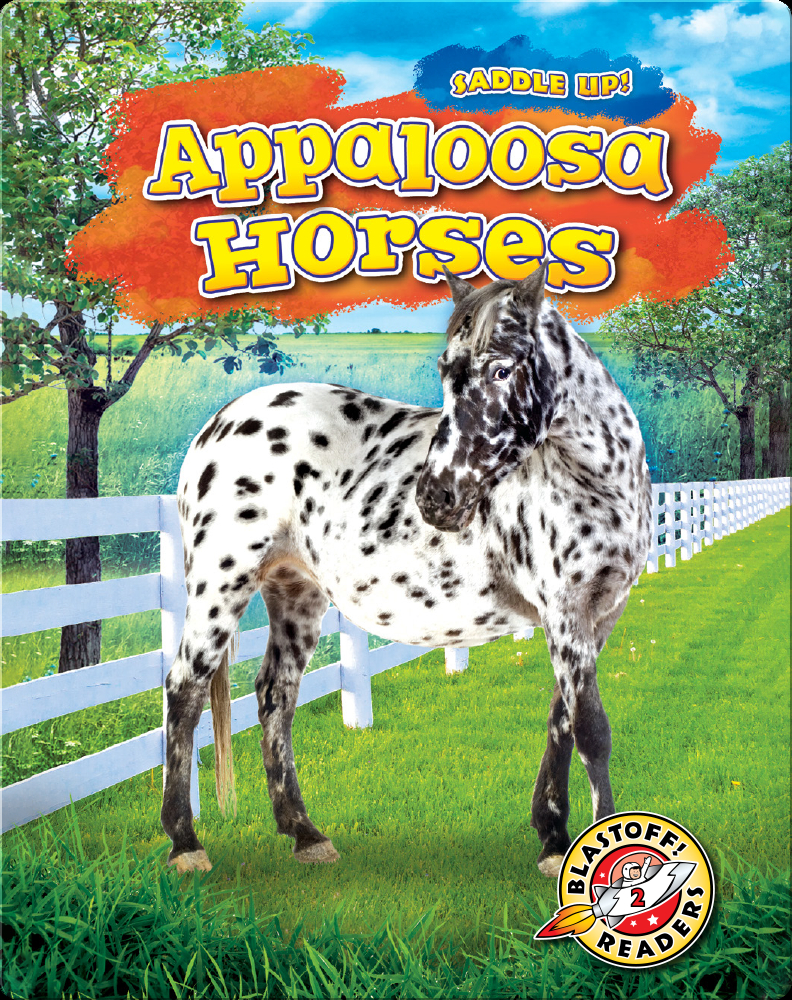 Spotting the Difference: There is more to Appaloosa horses than their coats