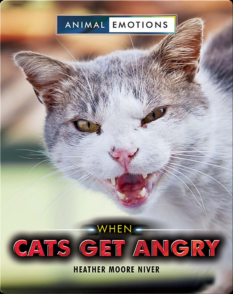 Angry, Aggressive Cats - Catwatch Newsletter