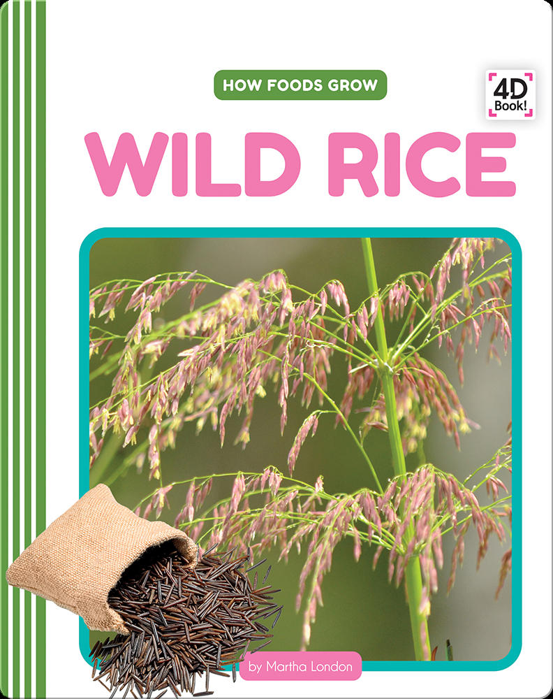 How Foods Grow Wild Rice Book by Martha London Epic