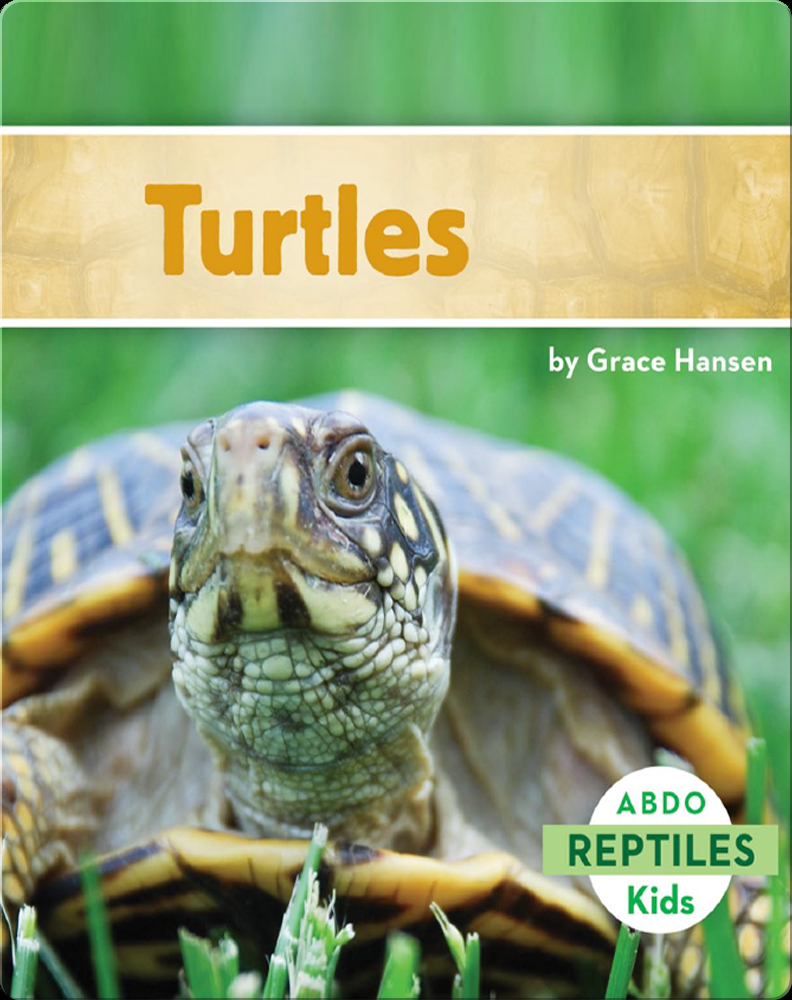 9 Children's Books about Turtles