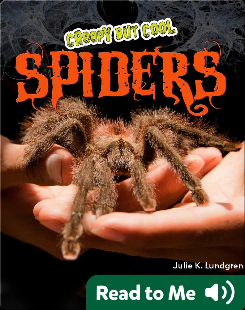 Creepy But Cool Spiders Book by Julie K. Lundgren Epic