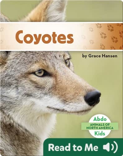 Coyotes