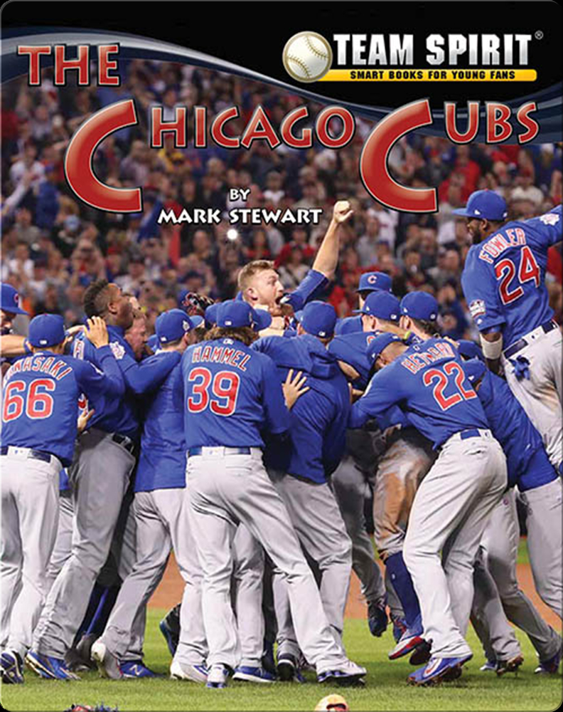 Chicago Cubs Fan Opening Day Diary