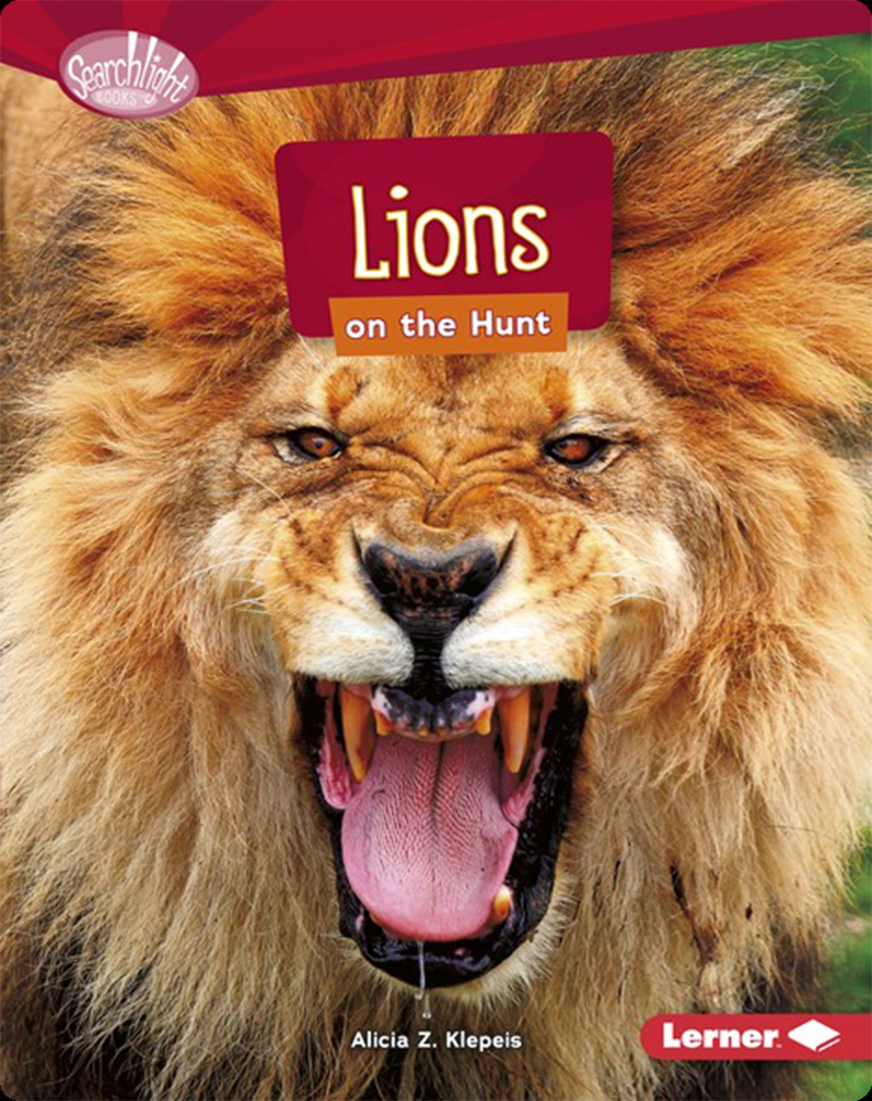 The Majestic Roar of Lions and What It Tells Us - Lions Tigers and Bears