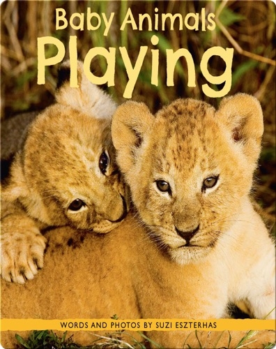 Baby Animals Playing