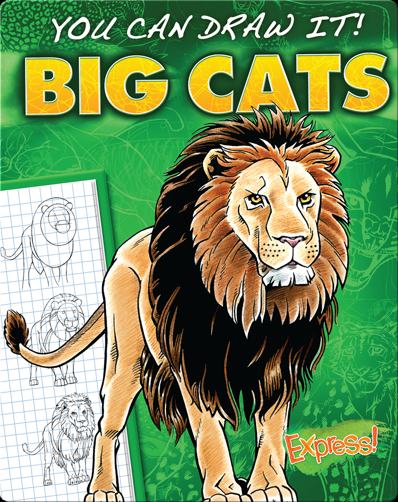 Big Book of Drawing Animals: 90+ Dogs, Cats, Horses and Wild Animals [Book]