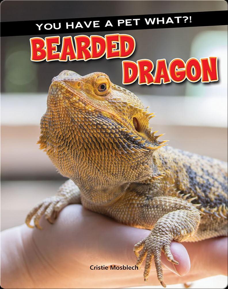 15 Bizarre Facts About Bearded Dragons