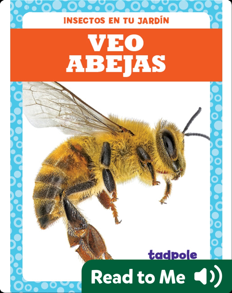 Bees Take Series on Abejas Night