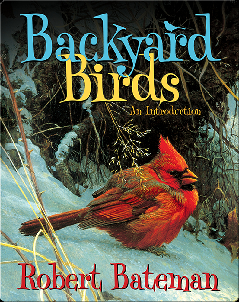 Speaking of Nature: A winter classic: the northern cardinal